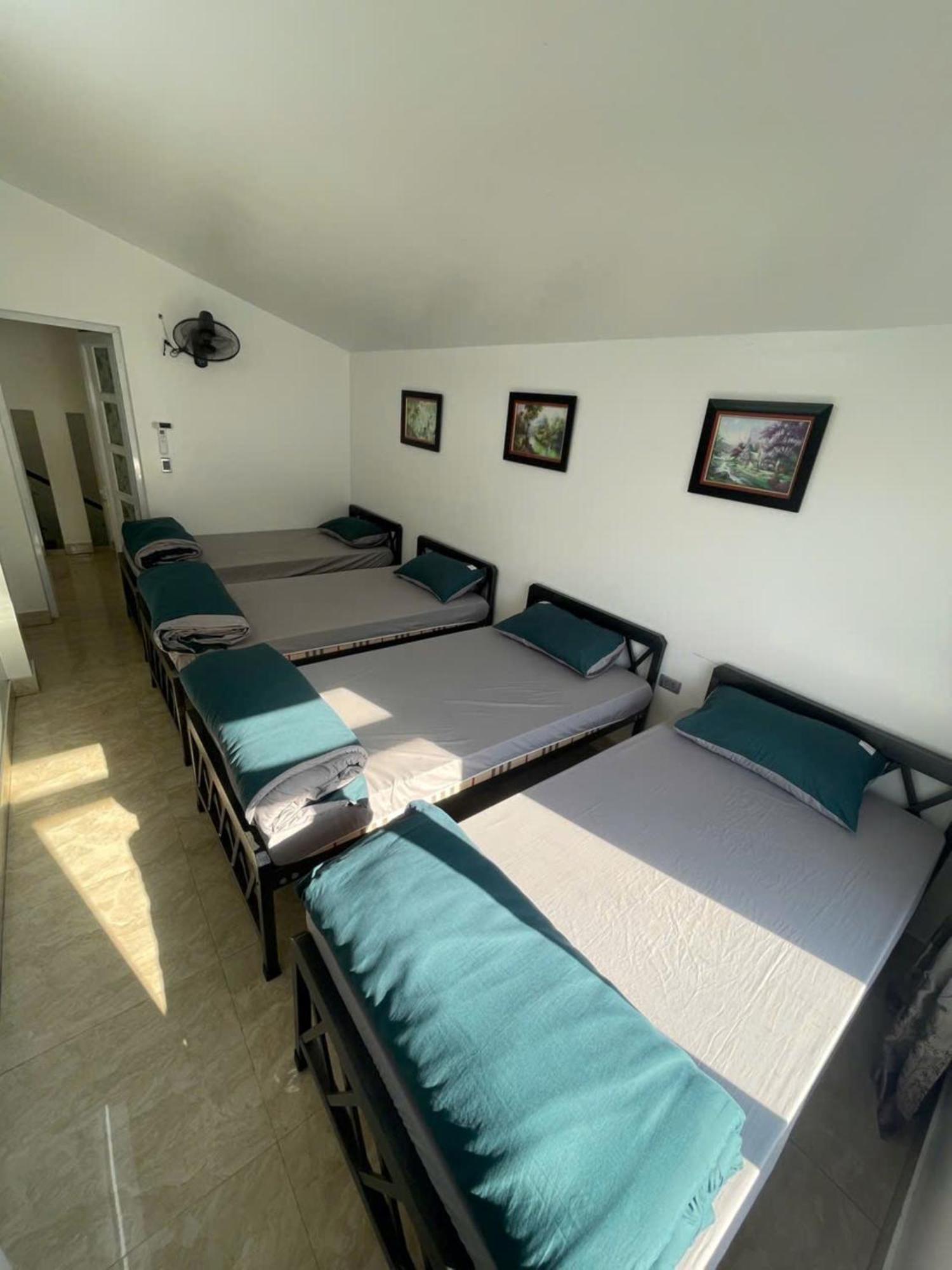 Voi Meo Vac Hostel & Breakfast エクステリア 写真