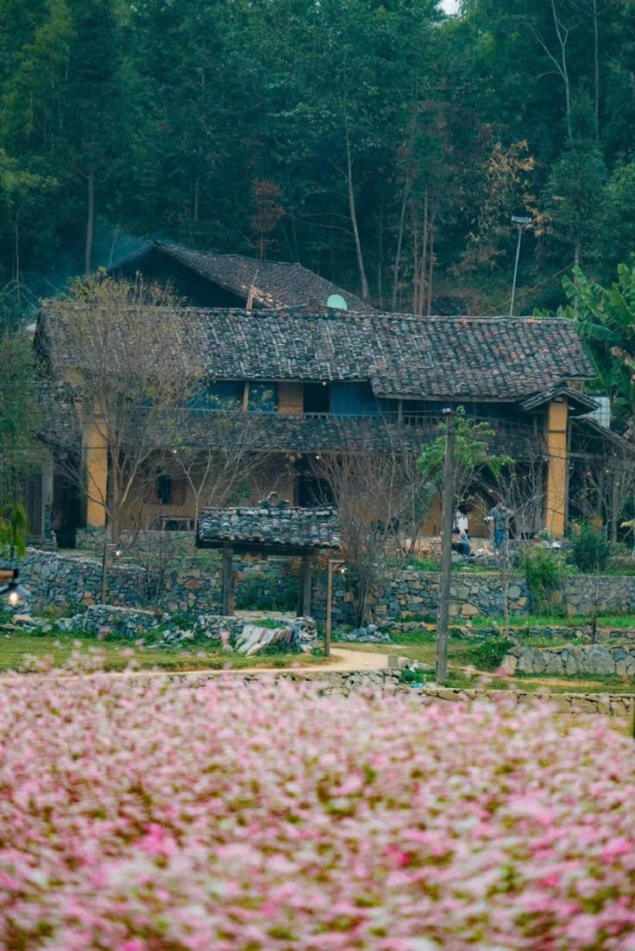 Voi Meo Vac Hostel & Breakfast エクステリア 写真